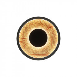 Бра Favourite 4445-1W Tallar