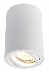 Светильник потолочный Arte lamp A1560PL-1WH SENTRY