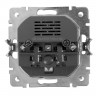 WL06-SKGS-USBx2-IP20 Werkel серебряная 2.jpg