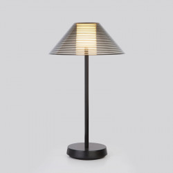 Настольная лампа Elektrostandard Mistery чёрный (TL70210) Mistery