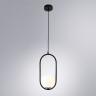 Подвесной светильник Arte Lamp MATISSE A7745SP-1BK