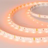 Светодиодная лента Arlight RT 2-5000 12V Orange (3528, 300 LED, LUX) 13568