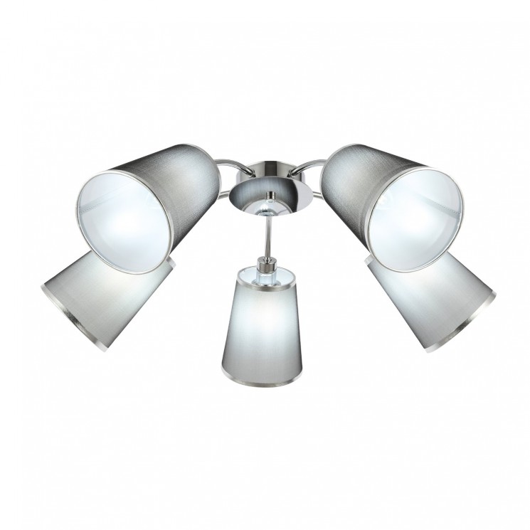 Люстра потолочная Evoluce MALEONTE SLE103002-05