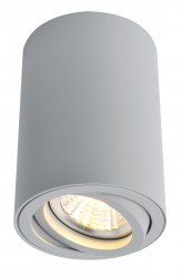 Светильник потолочный Arte lamp A1560PL-1GY SENTRY