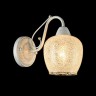 Светильник настенный Freya FR2751-WL-01-WG Andri