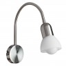 Светильник настенный Arte lamp FALENA A3116AP-1SS