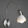 Светильник настенный Arte lamp FALENA A3116AP-1SS