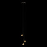 Подвесная люстра LOFT IT 10151/3 RAIN