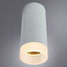 Накладной светильник ARTE Lamp A5556PL-1WH Ogma