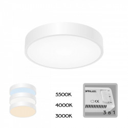 Накладной светильник Citilux CL72424V0 Купер