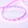 Светодиодная лента Arlight RT 2-5000 12V Pink (3528, 300 LED, LUX) 13571
