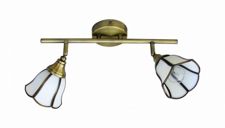 Светильник Favourite 5033-2C