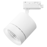 Светильник светодиодный для 1-фазного трека Lightstar 301262 Canno