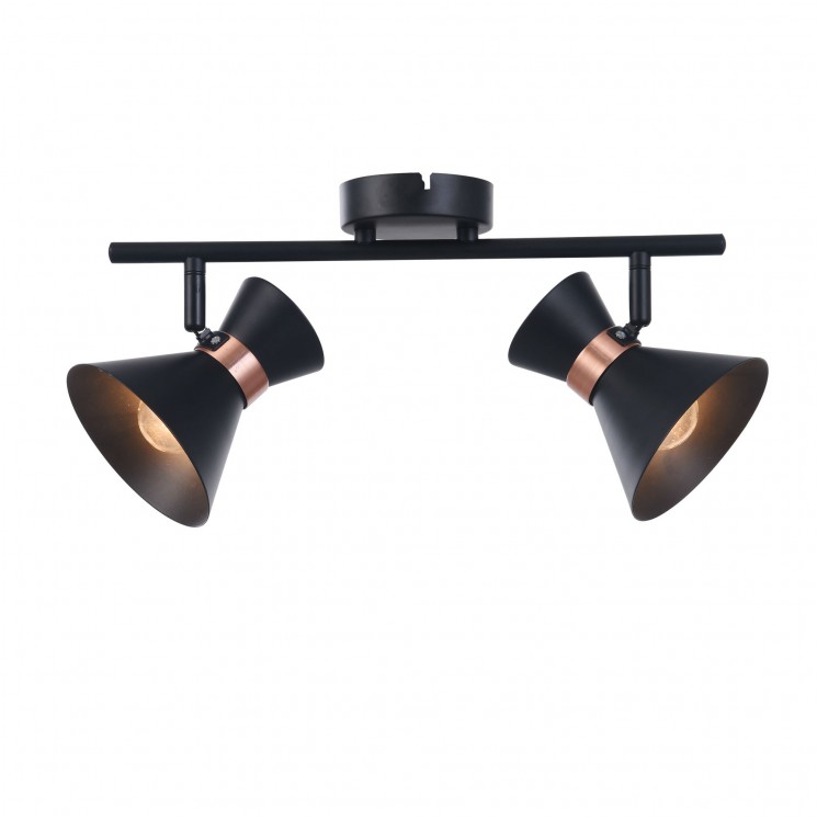 Светильник Freya FR4273-CW-02-B Izzy