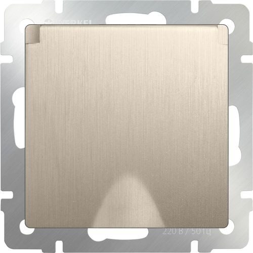 Розетка влагозащищенная с заземлением с защитной крышкой и шторками Werkel W1171210 (WL10-SKGSC-01-IP44 шампань рифленый)