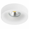 Встраиваемый светильник Lightstar L01002020 LEVIGO