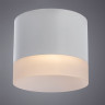 Накладной светильник ARTE Lamp A5554PL-1WH Castor