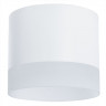 Накладной светильник ARTE Lamp A5554PL-1WH Castor