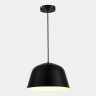 Светильник подвесной EVOLUCE Черный/Черный E27 1*40W           SLE1805-403-01