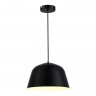 Светильник подвесной EVOLUCE Черный/Черный E27 1*40W           SLE1805-403-01