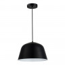 Светильник подвесной EVOLUCE Черный/Черный E27 1*40W           SLE1805-403-01
