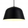Светильник подвесной EVOLUCE Черный/Черный E27 1*40W           SLE1805-403-01
