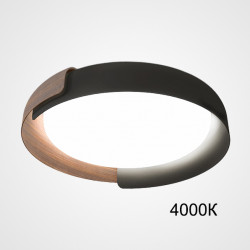 Потолочный светильник ImperiumLoft ADDA Black/Wood