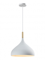 Подвесной светильник Moderli V1290-1P