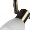 Светильник потолочный Arte lamp PARRY A5062PL-3AB
