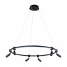 Подвесная люстра ARTE Lamp A2186SP-1BK RING