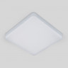 Накладной светильник Elektrostandard DLS043 10W 4200K DLS043