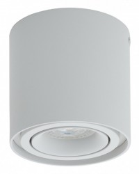 Накладной светильник Denkirs DK2001-WH