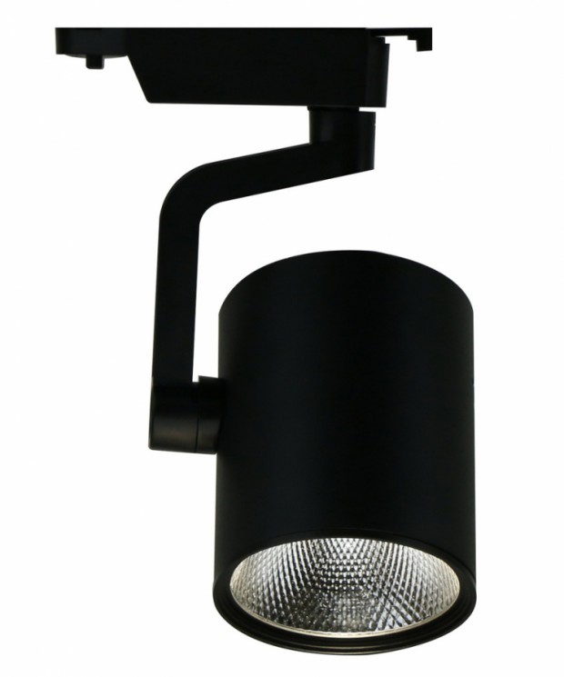 Светильник спот Arte Lamp A2320PL-1BK