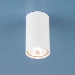 Накладной светильник Elektrostandard 1081 GU10 WH белый (5255)