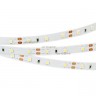 Светодиодная лента Arlight RT 2-5000 12V White6000 (3528, 300 LED, LUX) 010522(B)