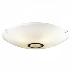 Светильник настенно-потолочный Favourite 1694-4C