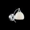 Светильник настенный Freya FR5022WL-01CH Cindy