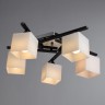 Светильник потолочный Arte lamp VISUALE A8165PL-5BK