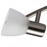 Светильник потолочный Arte lamp PARRY A5062PL-4SS