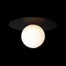 Накладной светильник LOFT IT 10120/250C Black UFO