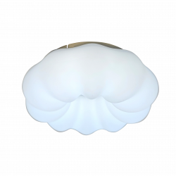 Потолочный светильник с пультом ZORTES SOFT ZRS.1118.2