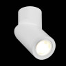 Накладной светильник ST-Luce ST650.502.01 ST650