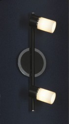 Светильник настенно-потолочный Lussole LSQ-6101-02 SILIQUA