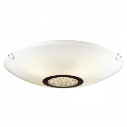 Светильник настенно-потолочный Favourite 1694-3C