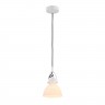 Подвесной светильник Maytoni MOD407-PL-01-W Daniel