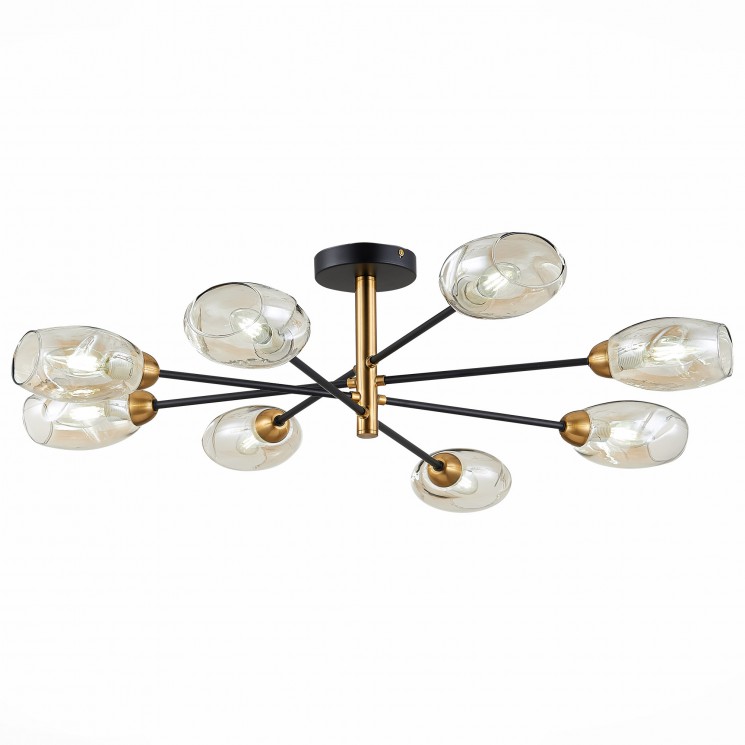 Люстра потолочная Evoluce GLOA SLE155502-08