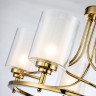 Подвесная люстра Favourite 2963-5P Plexus