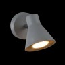 Светильник настенный Freya FR4308-WL-01-GR Claris