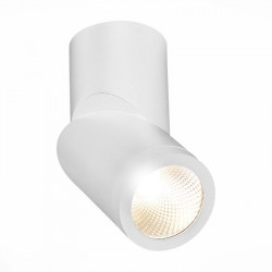 Накладной светильник ST-Luce ST650.532.10 ST650
