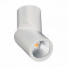 Накладной светильник ST-Luce ST650.532.10 ST650